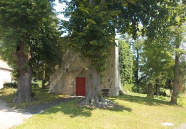 Tour Zu Fuß Balgstädt - Rundweg Dietrichsroda - Photo