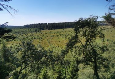 Randonnée Marche Malmedy - Croix des fiances - Photo