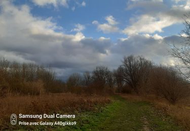 Trail Walking Eijsden-Margraten - petit tour de Meuse près de Oost Maarland  - Photo