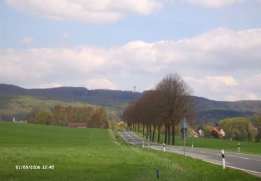 Tour Zu Fuß Scheden - Rundwanderweg Scheden 4 - Photo