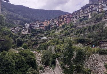 Trail Walking Tende - tende boucle - Photo