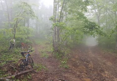 Percorso Mountainbike Seyssins - Le Rocher du Châtelard  (Reco) - Photo