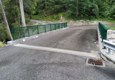 Randonnée Marche Champagny-en-Vanoise - chemin en direction de la montagne de Méribel au départ de Champagny le bas - Photo