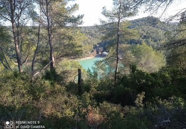 Trail Walking Sainte-Croix-de-Quintillargues - 34 lac de ceceles par la suque26 01 2023  - Photo