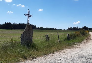 Randonnée Marche Peyre en Aubrac - le circuit des croix en partant de Aumont Aubrac  - Photo