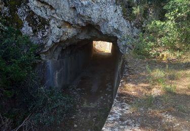 Trail Walking Peyrolles-en-Provence - Ancien canal du Verdon 1.5.22 - Photo