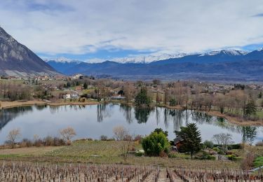 Tocht Stappen Porte-de-Savoie - st André-13-03-23 - Photo