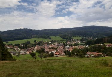 Tour Wandern Roggensbach - Ranrupt autour du Climont - Photo