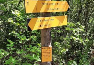 Excursión Senderismo Quinson - les Basses Gorges - Photo