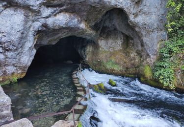 Excursión Senderismo Bélesta - Forêt de Belesta Ariège André  - Photo