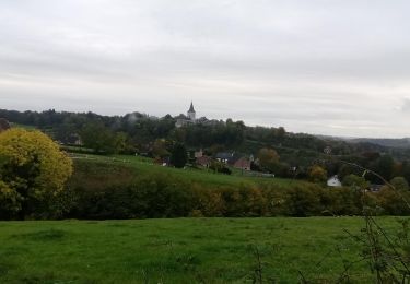 Trail Walking Limbourg - Dolhain (5km600) - Photo