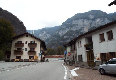 Percorso A piedi Sovramonte - Via di Schenèr - Photo