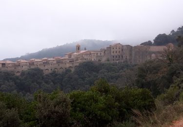 Tour Wandern Collobrières - Chartreuse de la Verne - Photo