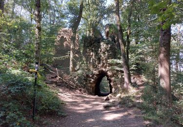 Tour Wandern Lüttich - Balade dans le bois de Fayenbois - Photo