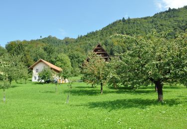Tour Zu Fuß Zug - Hasel - Oberwil - Fixme - Photo