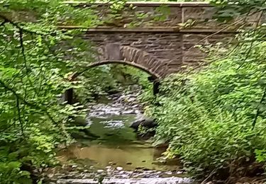 Randonnée Marche Paliseul - Fays les veneurs 20.6 km - Photo