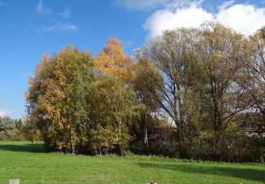 Percorso A piedi Müden (Aller) - Rundwanderweg Aller-Oker-Aue 1 - Photo