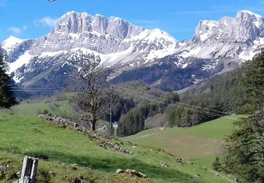 Randonnée Marche Gresse-en-Vercors - Le tour du palais - Photo