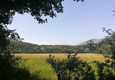 Trail Mountain bike Saint-Vallier-de-Thiey - Crêtes au nord de St Vallier (boucle) - Photo