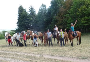 Tocht Paardrijden Saint-Hippolyte - 2018-08-19 Balade St Hyppolyte Thannenkirch  - Photo