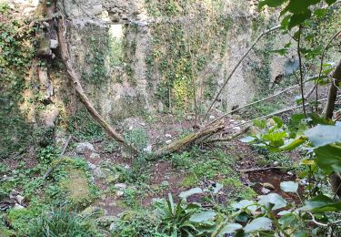 Excursión Marcha nórdica Le Broc - CHAPELLE STE MARGUERITE - Photo