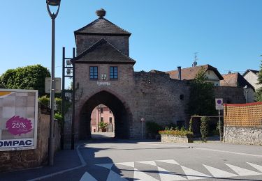 Tour Wandern Dambach - Dambach - châteaux du Bernstein, de l'Ortenbourg et du Ramstein - Photo
