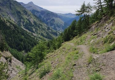 Randonnée Marche Uvernet-Fours - col allos  penier - Photo