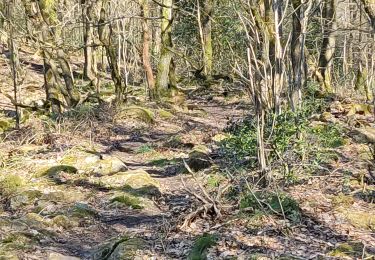 Trail Walking Durbuy - Heyd avec le chemin des crêtes  - Photo