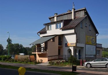 Trail On foot  - Szlak leśny - Photo