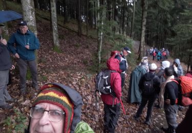 Tour Wandern Buhl - 2019.11.28.Barnabé - Photo