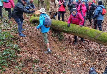 Trail Walking Vauchassis - Balade champs forêts - Photo