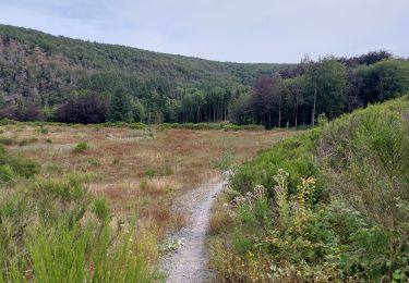 Tocht Stappen Couvin - COUVIN _ Marche Fédérale _ NA _ 22/07/2023. - Photo