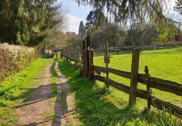 Randonnée Marche Ottignies-Louvain-la-Neuve - Stimont - Photo