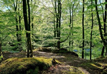 Tour Zu Fuß  - Paddesjöslingan - Photo