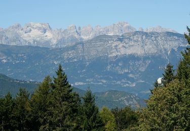 Excursión A pie Trento - Senter delle pegore - Photo