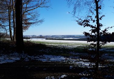 Trail Walking Hamoir - Comblain-Fairon - La Rock - Photo