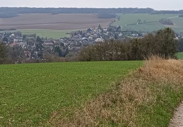 Trail Walking Vauchassis - Balade Bois de Maître Jacques  - Photo