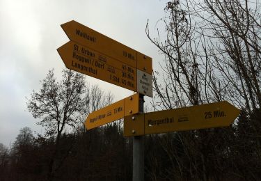 Trail On foot Wynau - Wynau - Wynau Kraftwerk - Photo