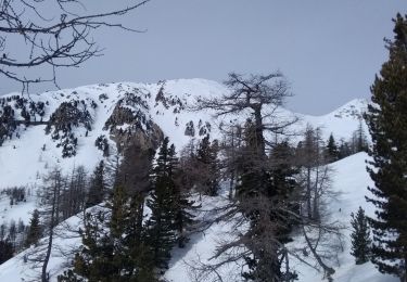 Randonnée Ski de randonnée Saint-Martin-Vésubie - Baisse de Pagari de Salèse - Photo