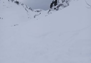 Tocht Ski randonnée Beaufort - pointe du dard avec retour par le trou et col de la grande combe - Photo