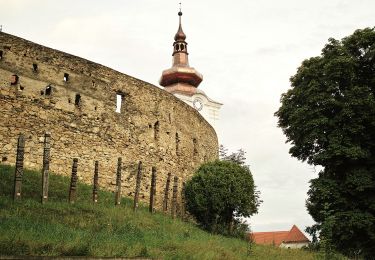 Tour Zu Fuß Sankt Georgen bei Kronstadt - Sfântu Gheorghe - Băile Șugaș - Sfântu Gheorghe - Photo