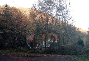 Trail On foot Wertheim - Liebliches Taubertal – Ehemaliger Rundwanderweg 3 – Wein und Glaube - Photo