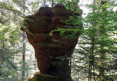 Tour Wandern Sankt Ludwig bei Pfalzburg - Plan Incliné St louis Arsviller - Photo