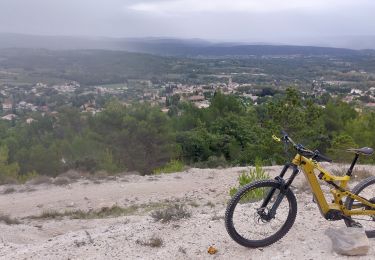 Excursión Bici de montaña Mormoiron - Fontaines et Pierres sèches - Photo