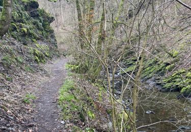 Tour Zu Fuß Weismes - Reinardstein 12 Km - Photo