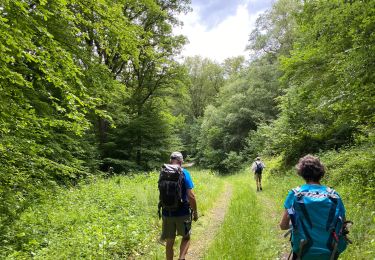 Trail Walking Gedinne - Gedinne Croix Scaille 23,8 km - Photo