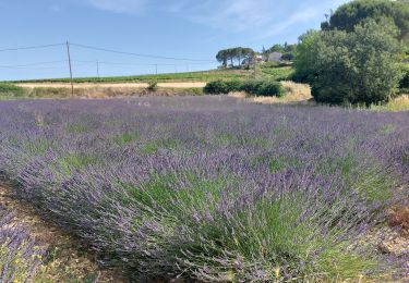 Tour Wandern Valvignères - Valvignères -Boucle des Caveaux 7km - Photo