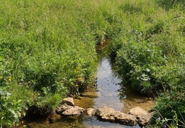 Trail Walking Lamoura - Lamoura  - Photo