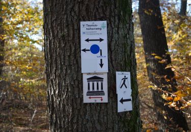 Trail On foot Eppstein - Rund um Eppstein - Photo