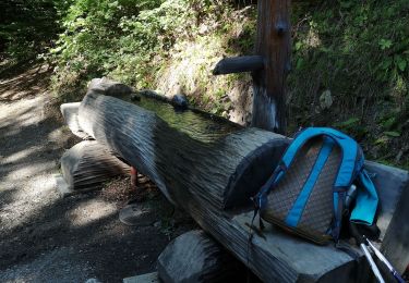 Tocht Noords wandelen Ayent - les deux bisses  - Photo